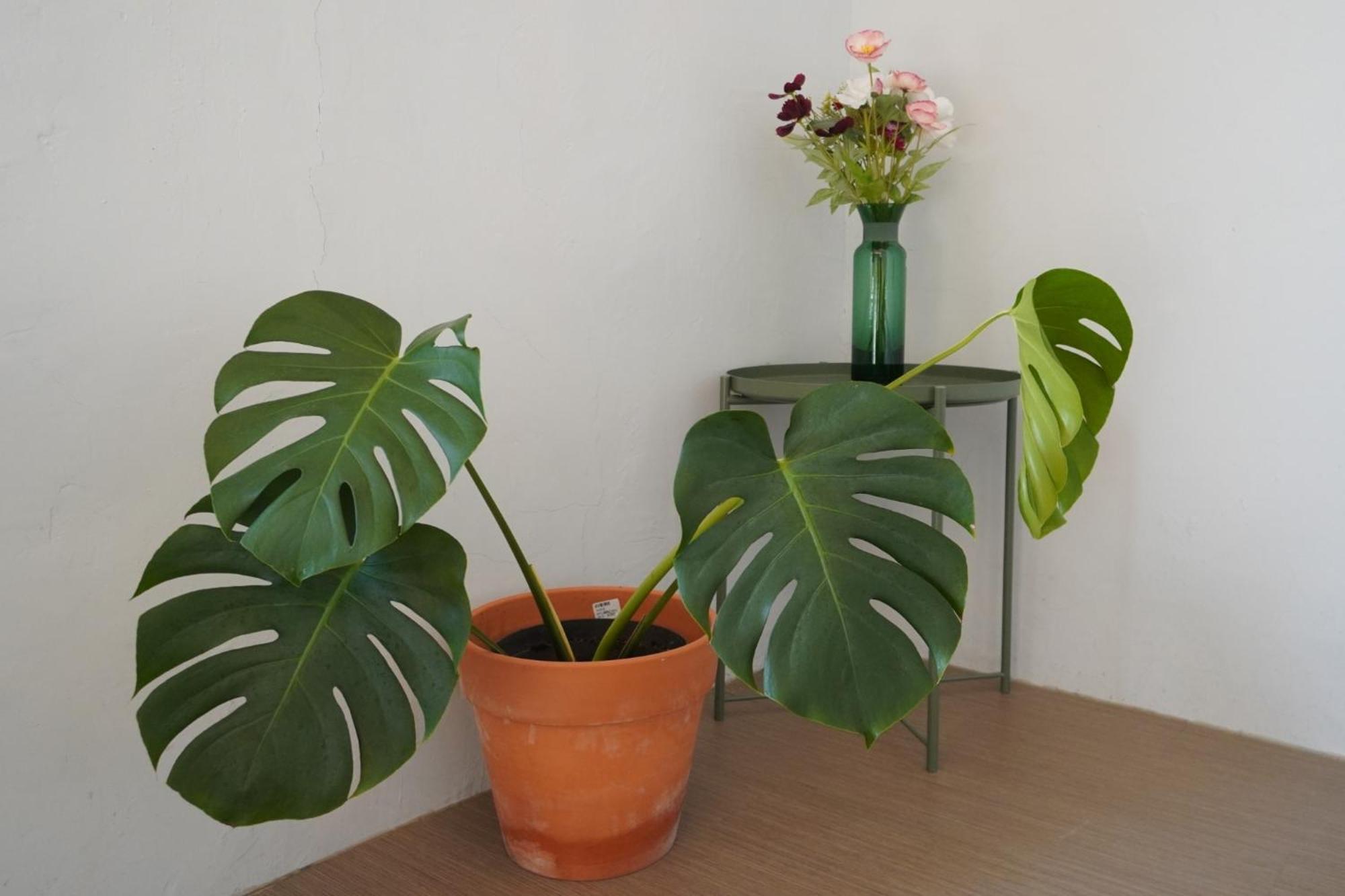 山森三室墾丁包棟民宿3Rooms Nanwan Eksteriør bilde